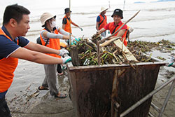 ドーソン海岸での清掃活動⓵