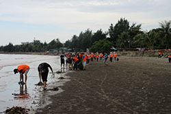 ドーソン海岸での清掃活動⓶
